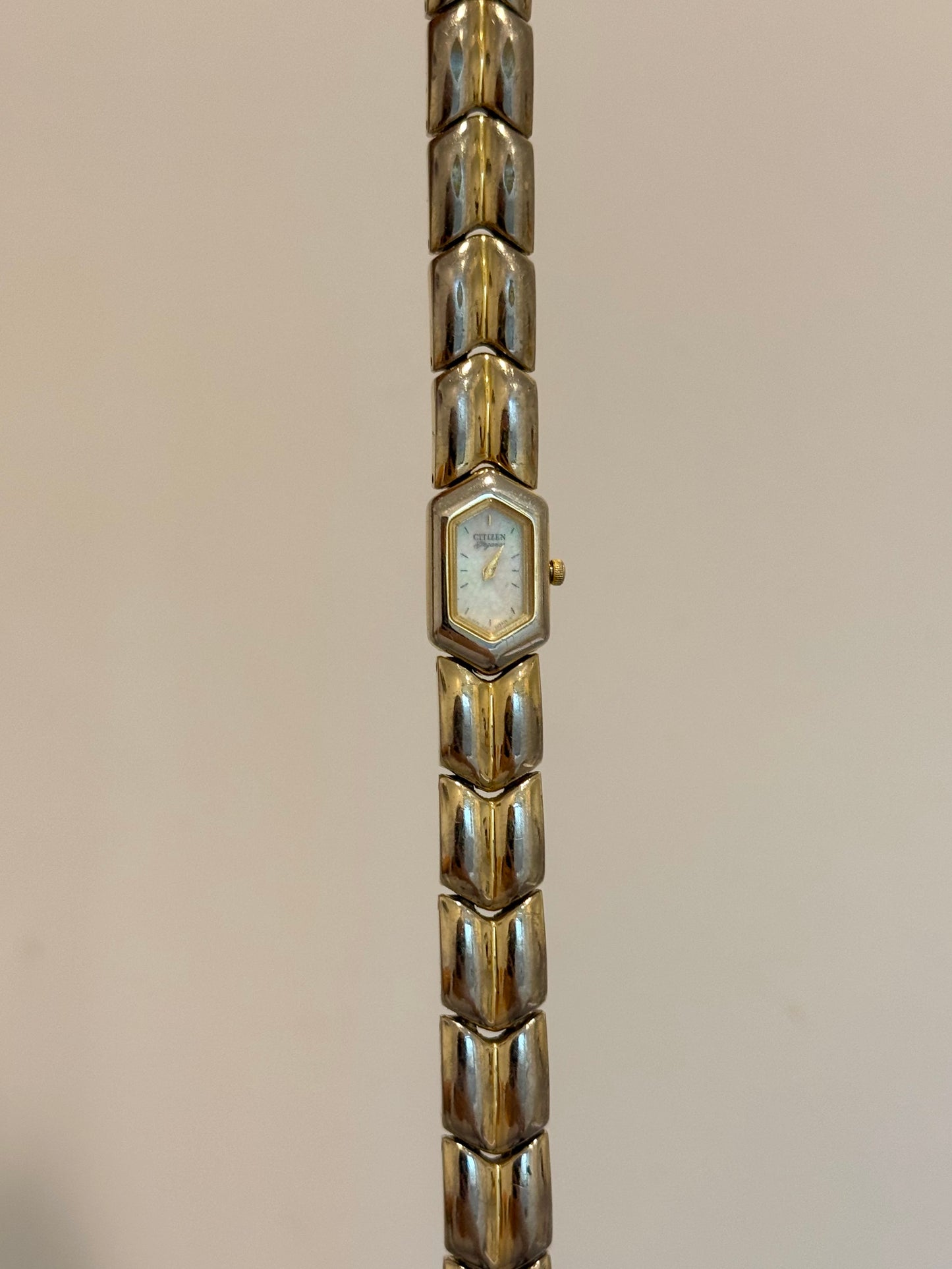 RARE Citizen Elegance Watch